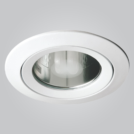 MSL CFL 11009