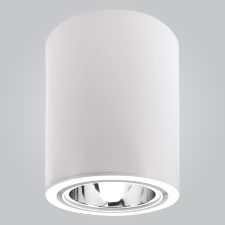 MSL CFL 11020