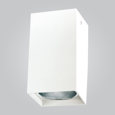 MSL CFL 11021