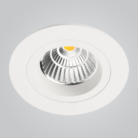 MSL LED 1009