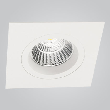 MSL LED 1010
