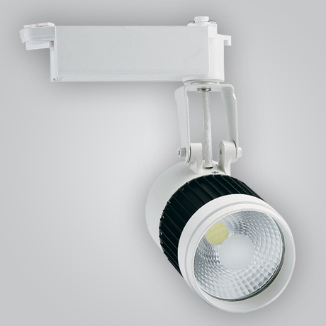 MSL LED 3010